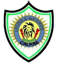 Leones Negros